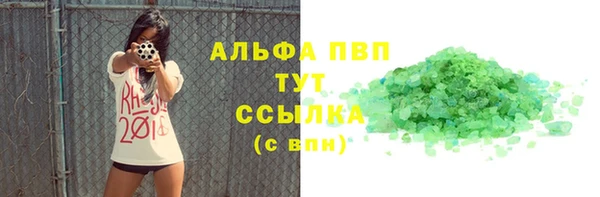 стаф Алексин