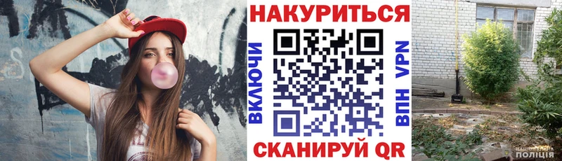 Купить закладки  Камышлов  Бошки Шишки VHQ 